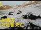 青海玉树雪灾致上万牲畜死亡:积雪厚50公分